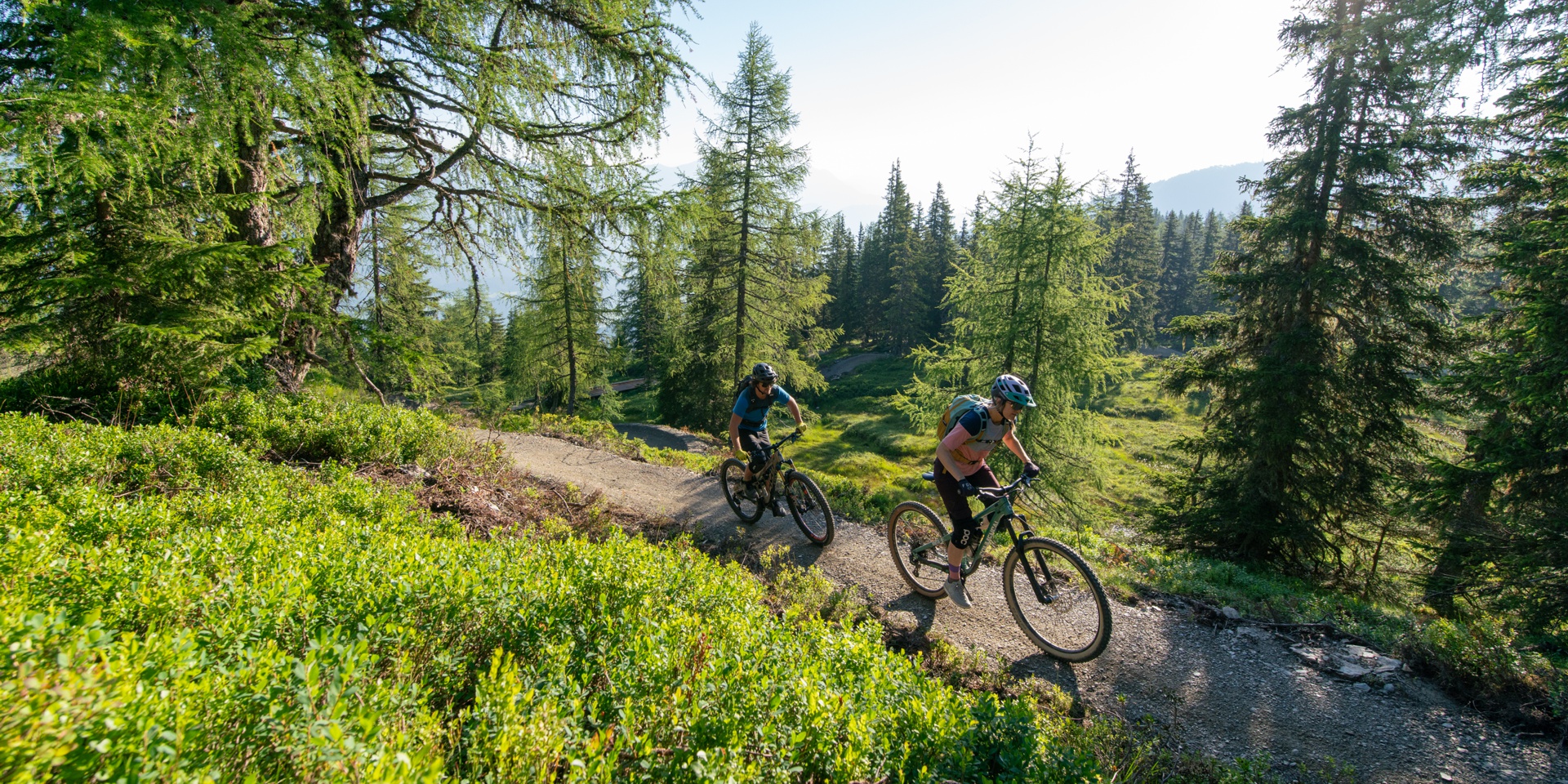 Bikepark Planai Uphill Flowtrail © Schladming-Dachstein Christoph Oberschneider