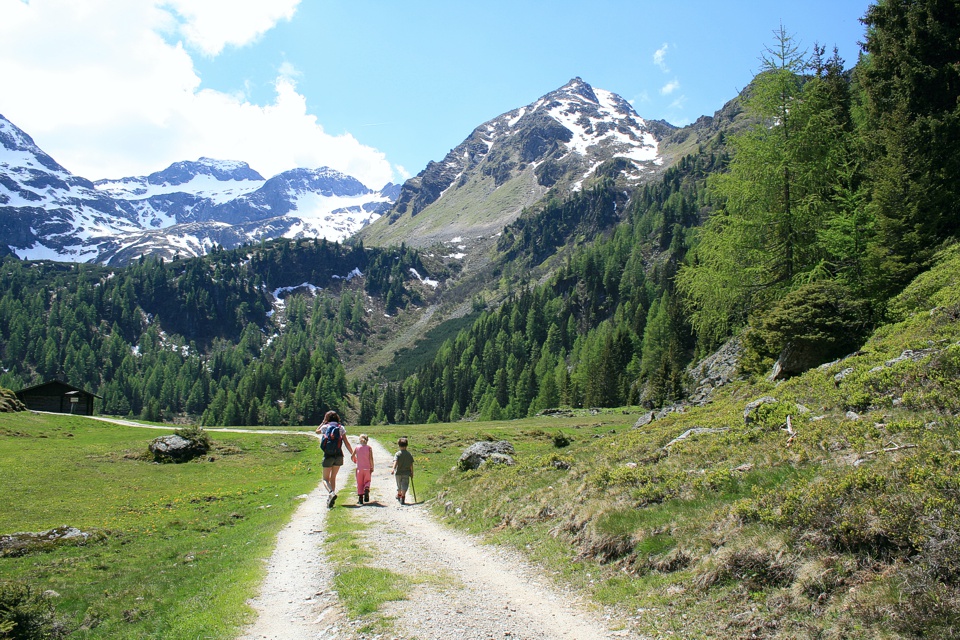 Forstweg knapp vor dem Ziel