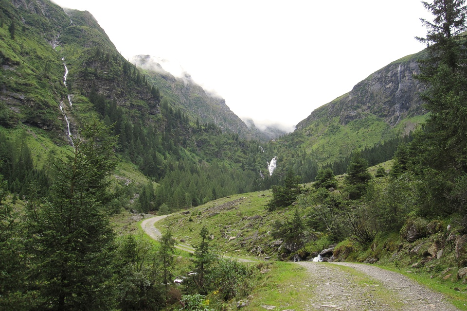 Wanderweg im Steinriesental