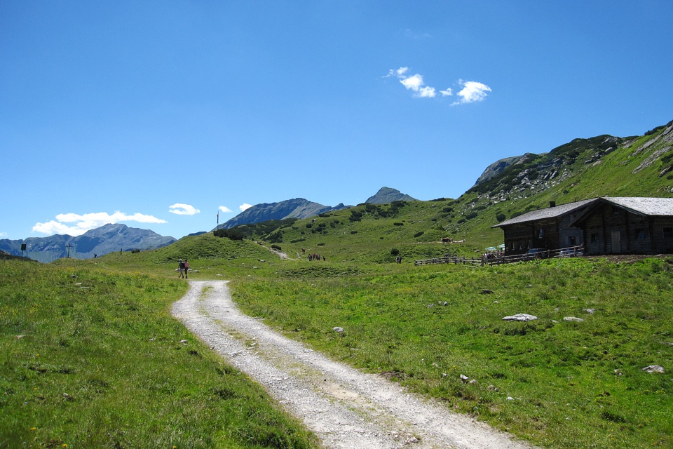 Forstweg bei der Hütte